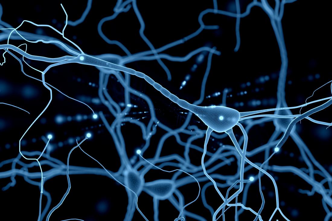 El rápido crecimiento de los niveles de serotonina puede ayudar en el tratamiento del autismo