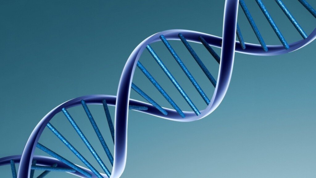 Uma startup Carverr oferece armazenar chaves privadas em tubos de ensaio com o DNA. Qual é o truque?