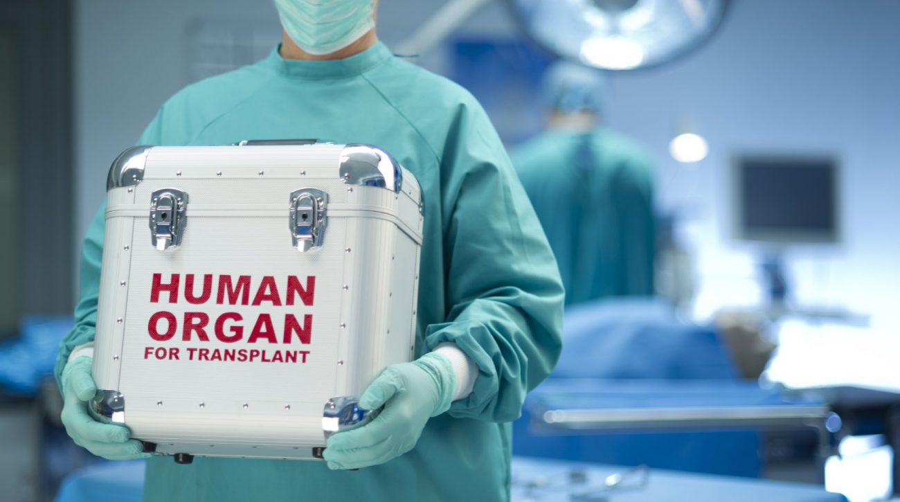 Zum ersten mal verwirklicht Lungen-Transplantation «aus der Retorte»