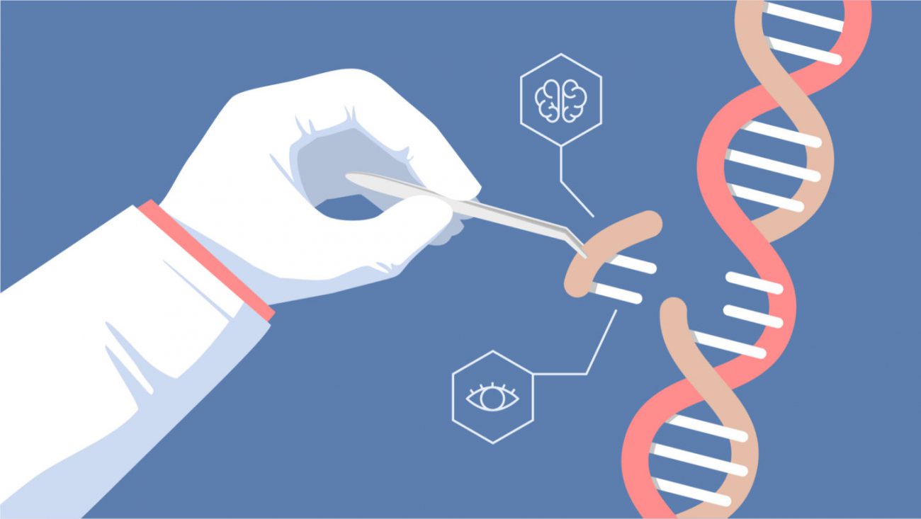 Usando o editor do genoma CRISPR conseguiu curar muscular дистрофию