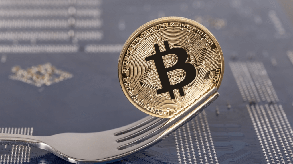 Schlechte fork: Bitcoin Cash verliert schnell Popularität in Commerce
