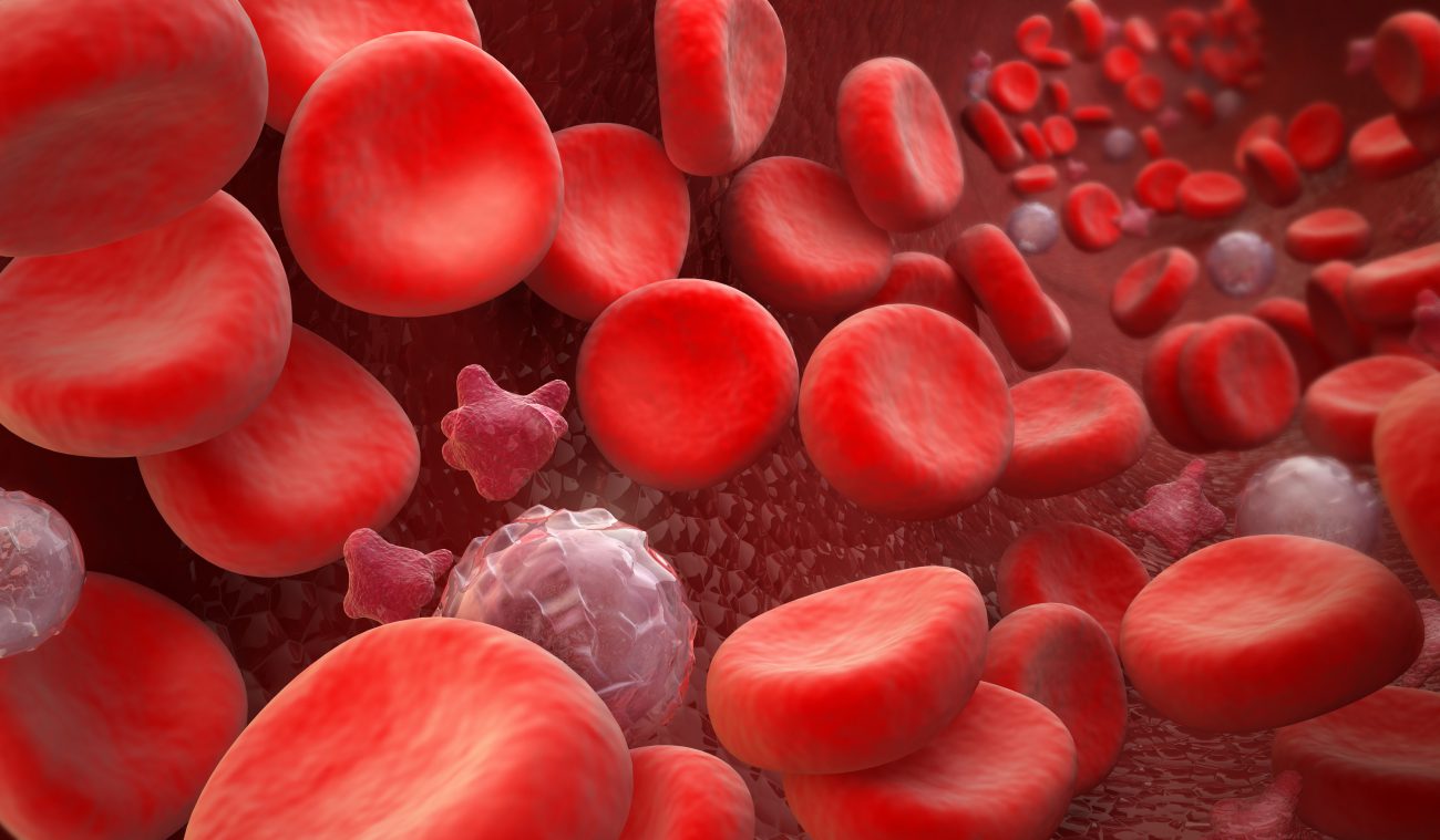 W Japonii po raz pierwszy wychowują płytek krwi w warunkach sztucznych