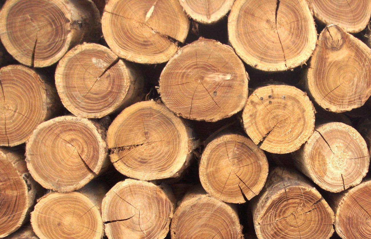 Los científicos chinos han creado artificial de la madera, que no se quema en el fuego