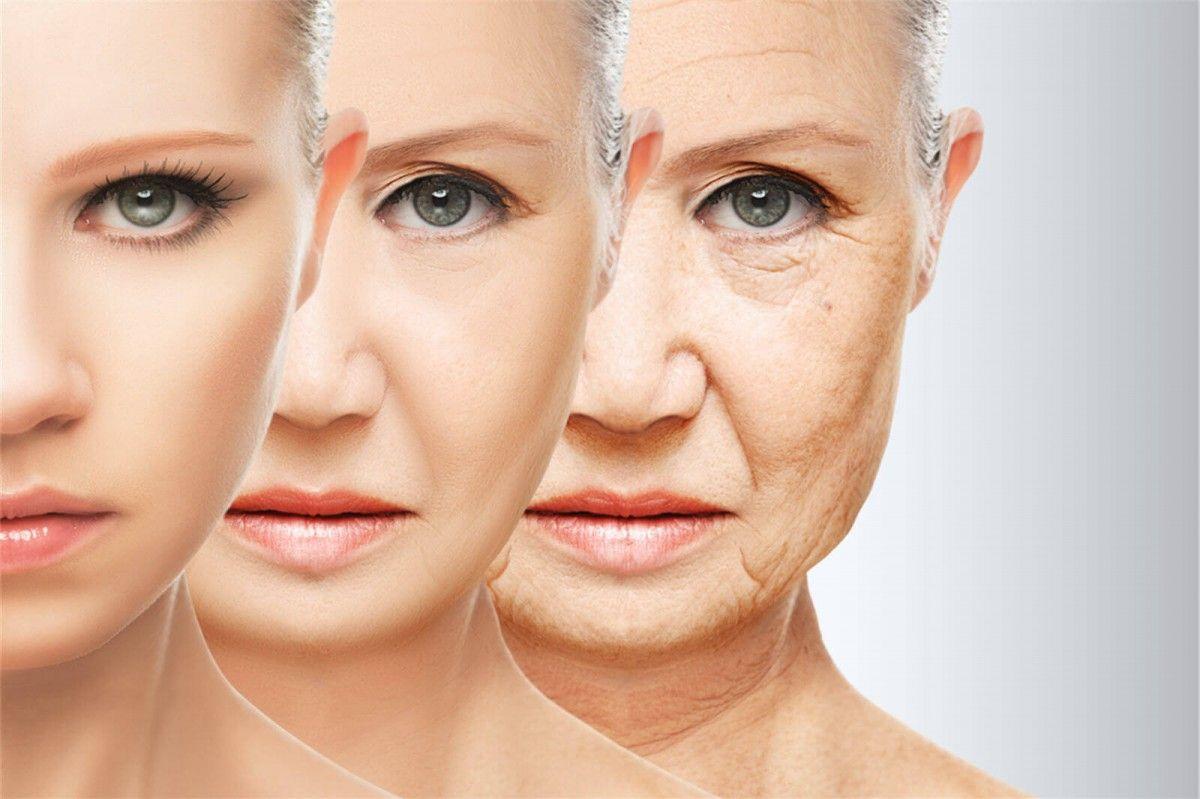 Odkryte geny, które odgrywają kluczową rolę w procesach starzenia się