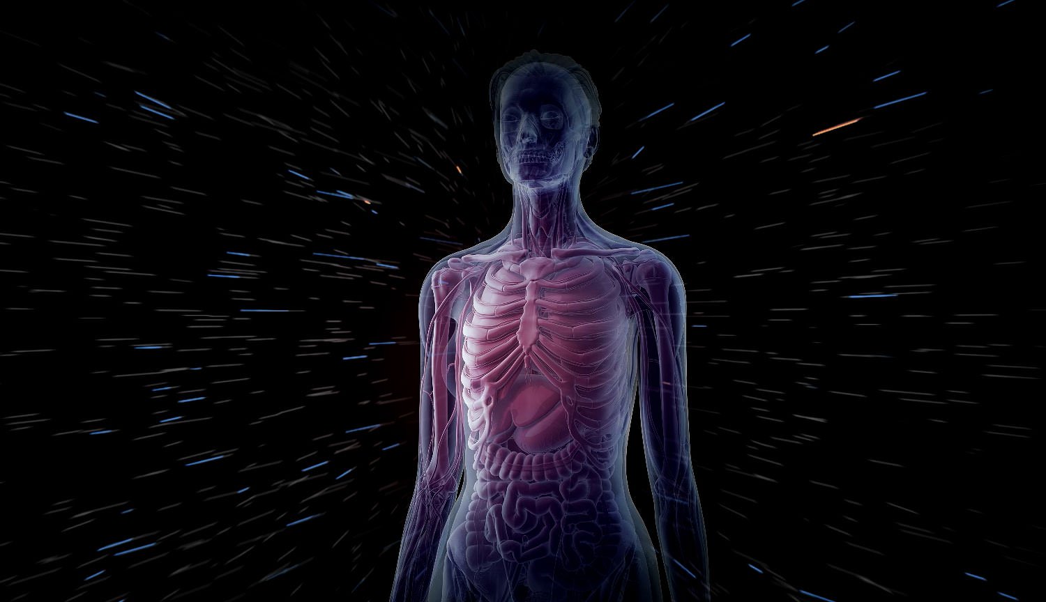 Forskere udvikler mest detaljerede 3D-modeller af det menneskelige legeme