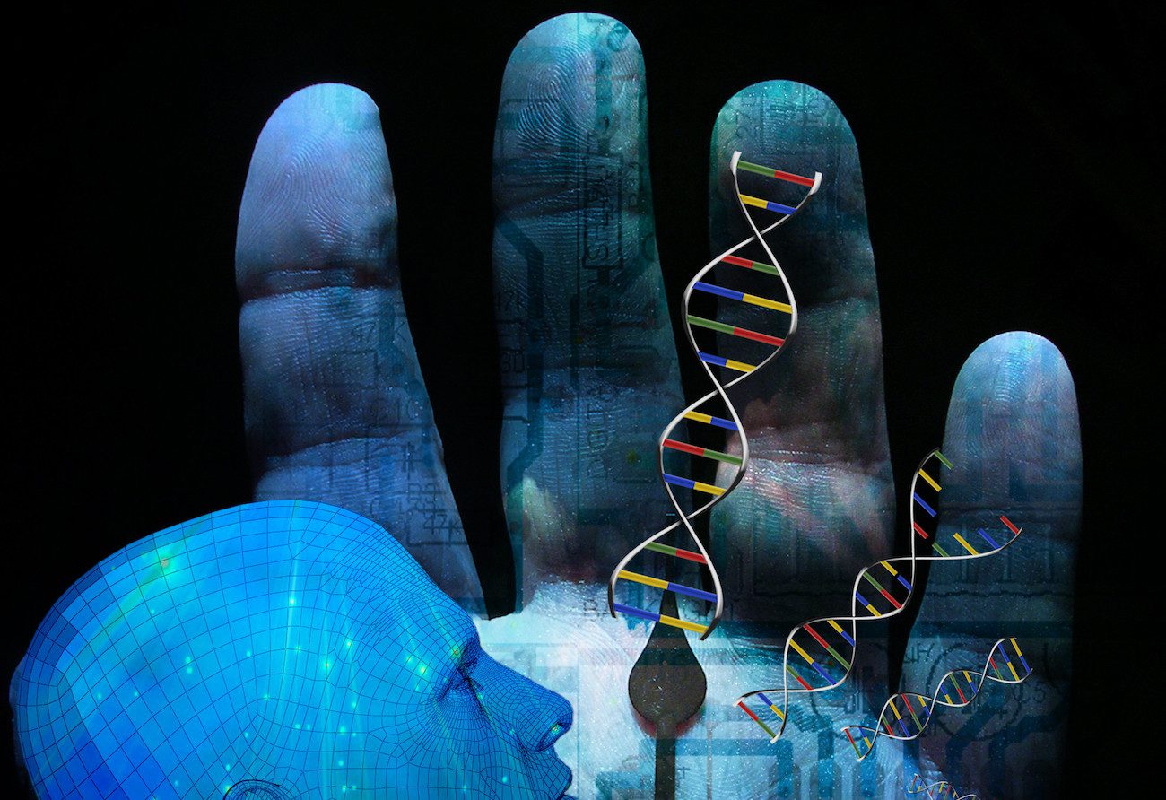 El 20 por ciento del genoma humano fueron inútiles. ¿Cómo es posible?