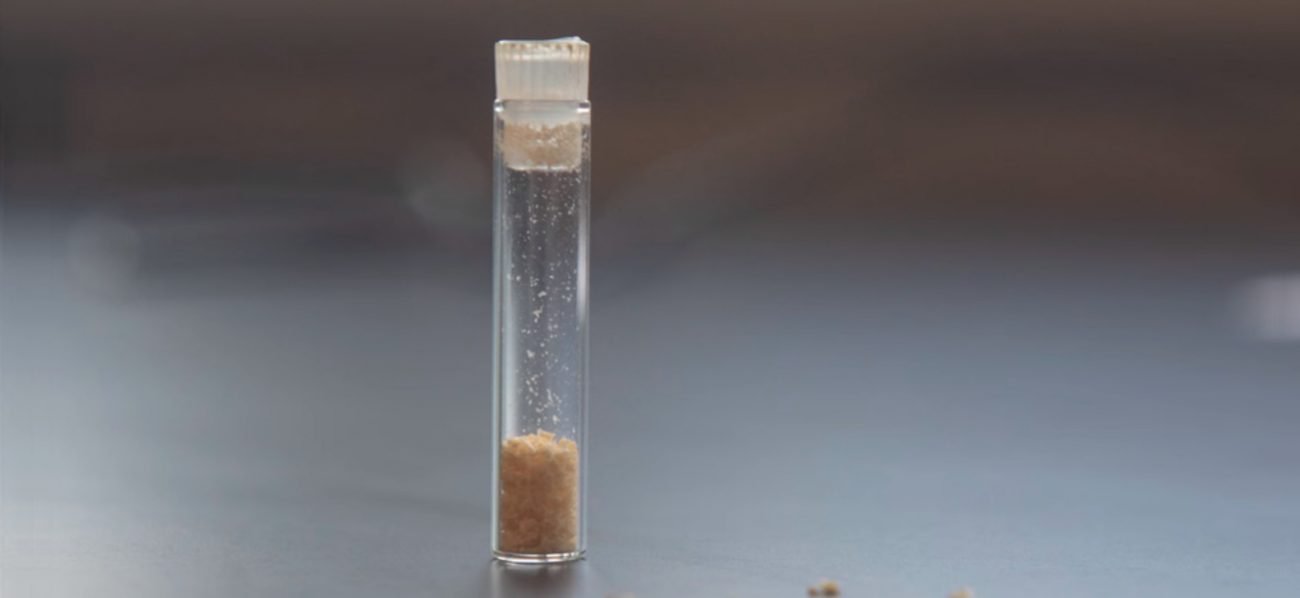 GENECIS: projekt til forarbejdning af levnedsmidler affald i bioplast til 3D print