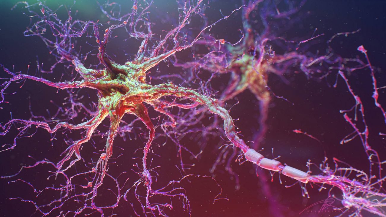 Bilim adamları yetiştirdik sinir ağı insan kök hücreleri
