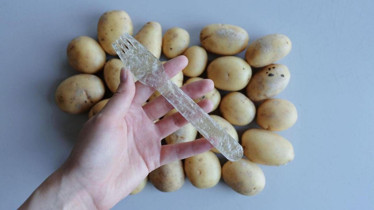 Developed a biodegradable 'plastic' from... potatoes