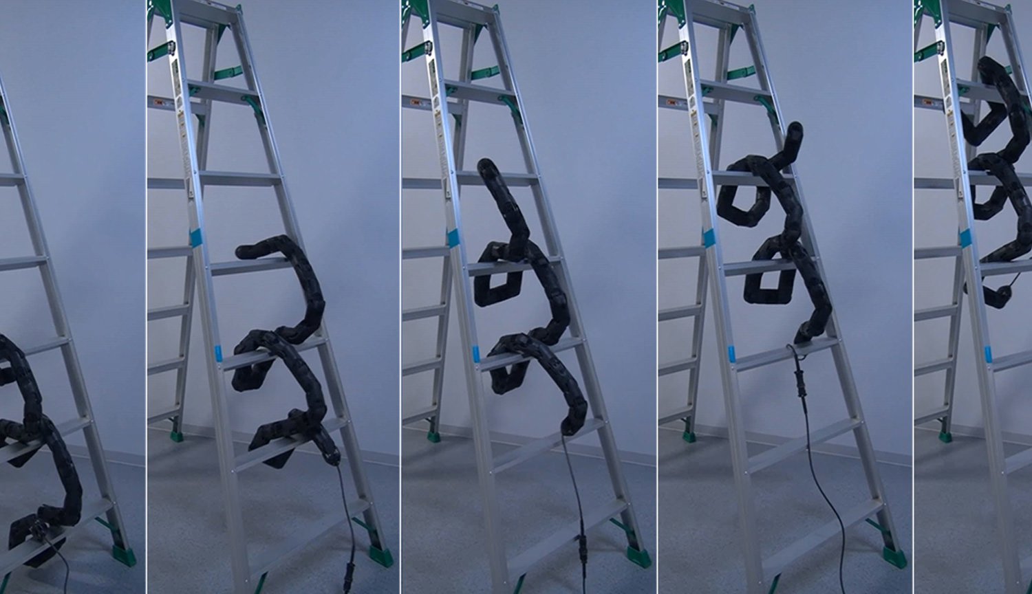 The robot-snake learned how to climb a ladder