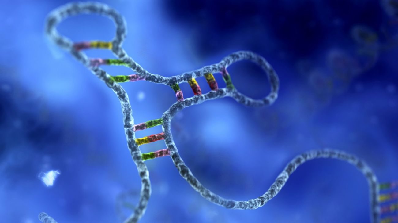 RNA den var meget vigtigere, end vi troede