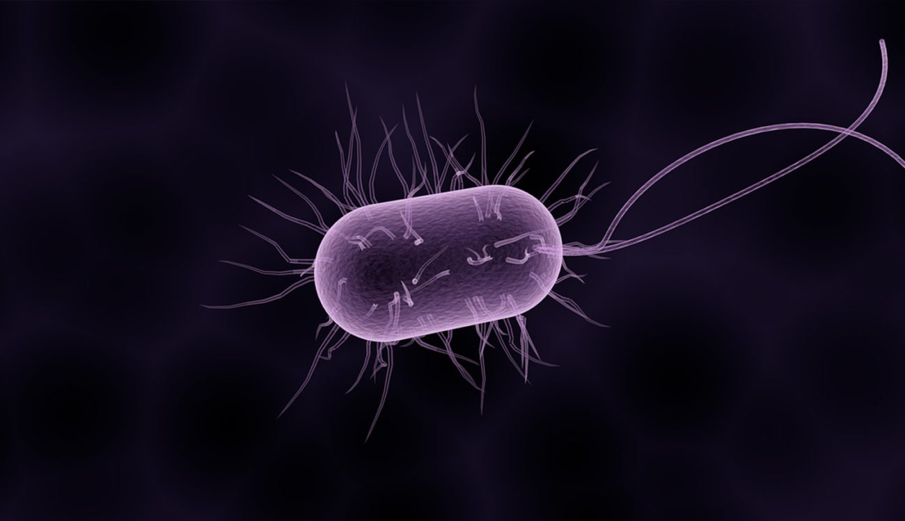 Auf der ISS gefunden wurden Bakterien, die keine Angst vor Antibiotika