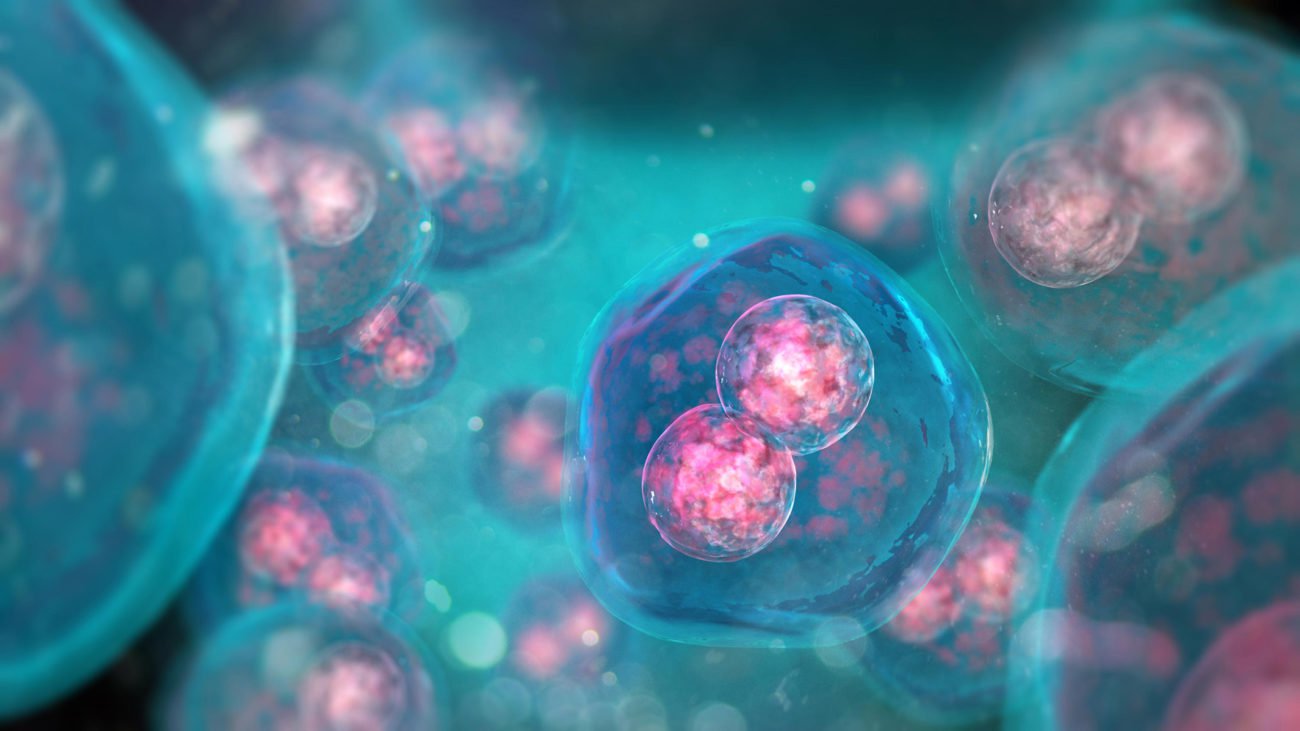 생물학자들이 만든 가장 진보된 세포는 인공