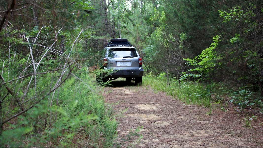 Como carros autónomos aprendem a desbravar o caminho?