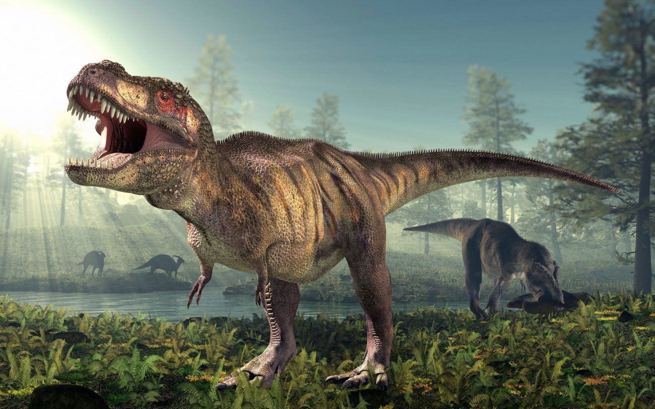 I Alperne, fandt en forfader af tyrannosaurs. Og han kaste lys over udviklingen af de gamle dinosaurer