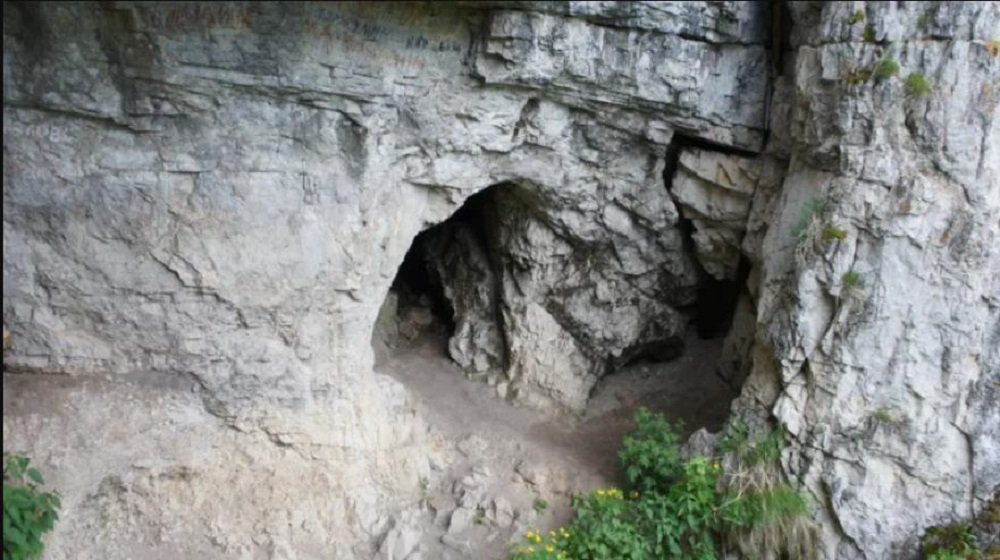 Sztuczna inteligencja znalazł ślady zaginionego gatunku w DNA człowieka