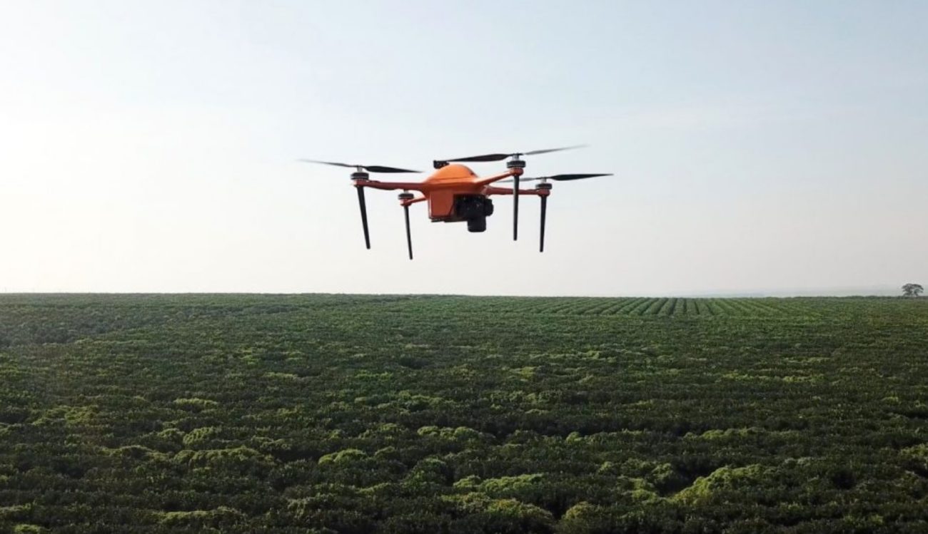 人工知能や無人航空機をモニター農場ミクロのレベル