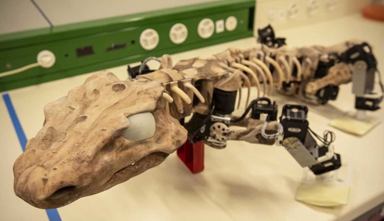Bilim adamları robot bir kopyasını antik raptor