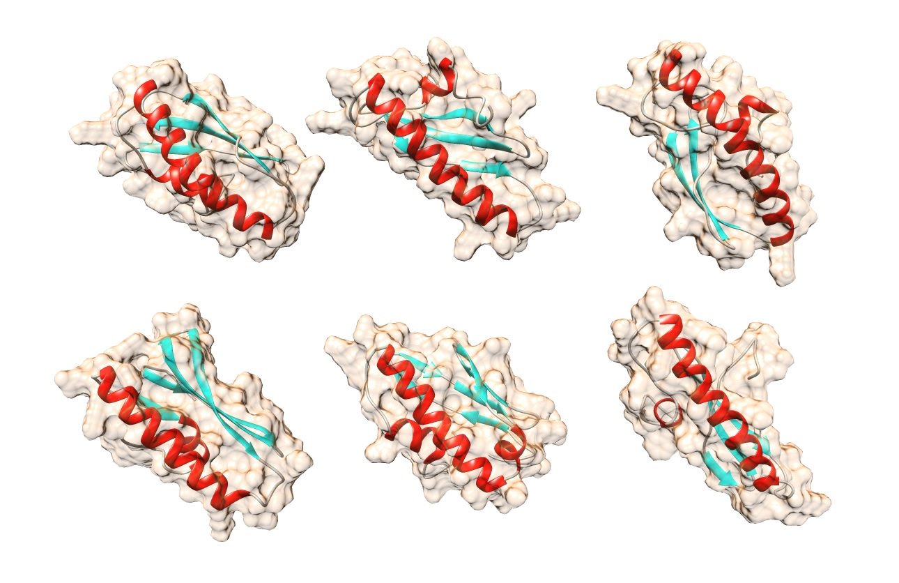 Creata la nuova tecnologia di massa sequenziamento di proteine