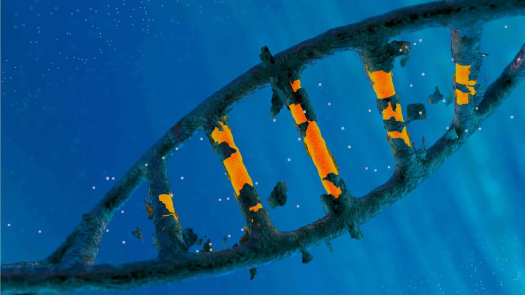 CRISPR è diventato più potente, grazie «interruttore»