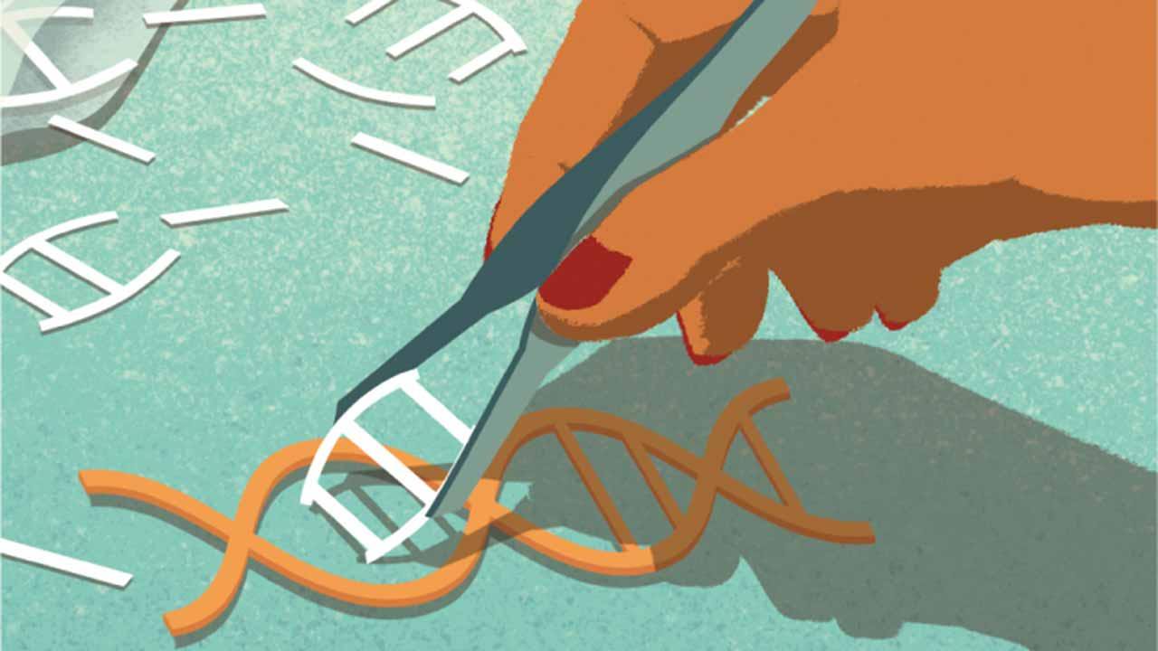 Bearbeitungswerkzeug CRISPR-Gene helfen, neue Antibiotika zu finden