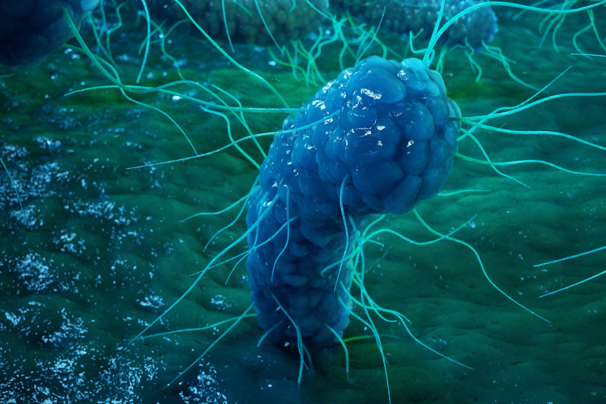 Yeraltı mikroplar hemen hemen ulaştı ölümsüzlük