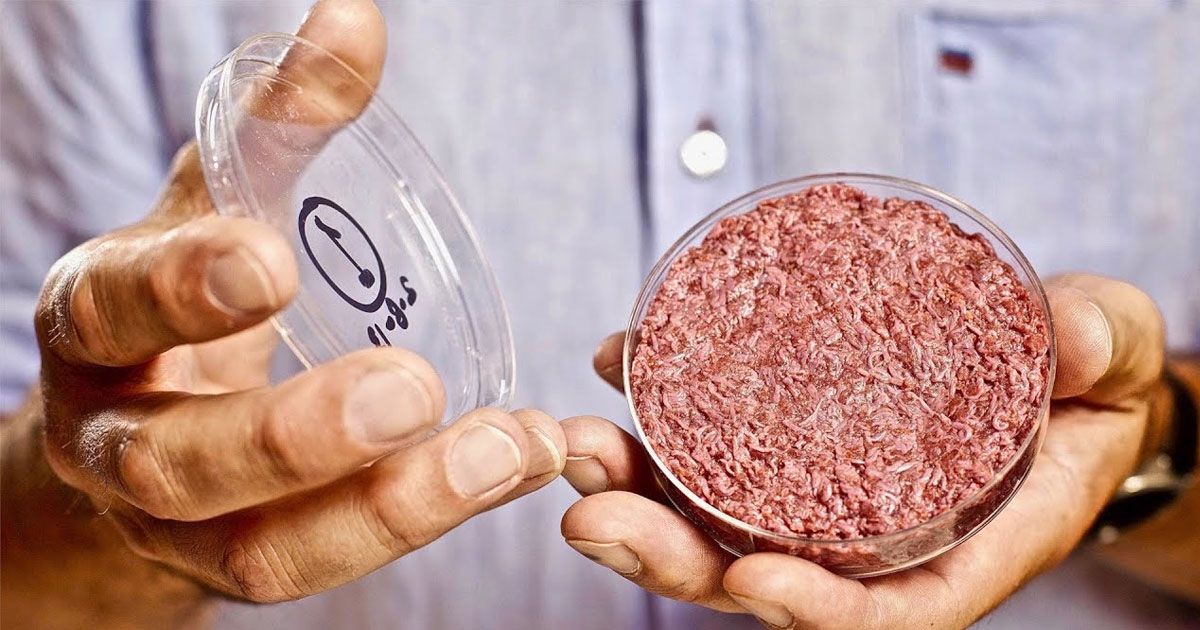 Die Herstellung von künstlichem Fleisch nicht profitieren Umwelt