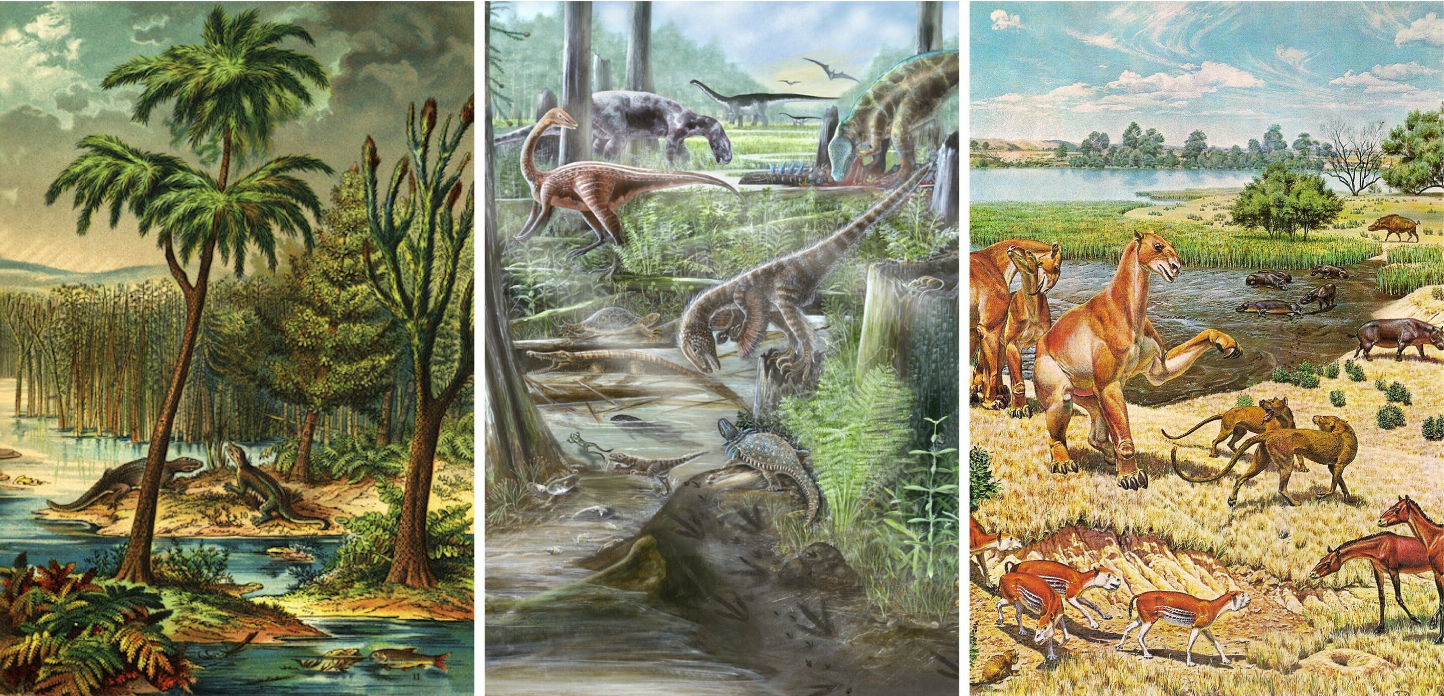 Den mångfald av liv på Jorden har inte förändrats sedan dinosaurierna