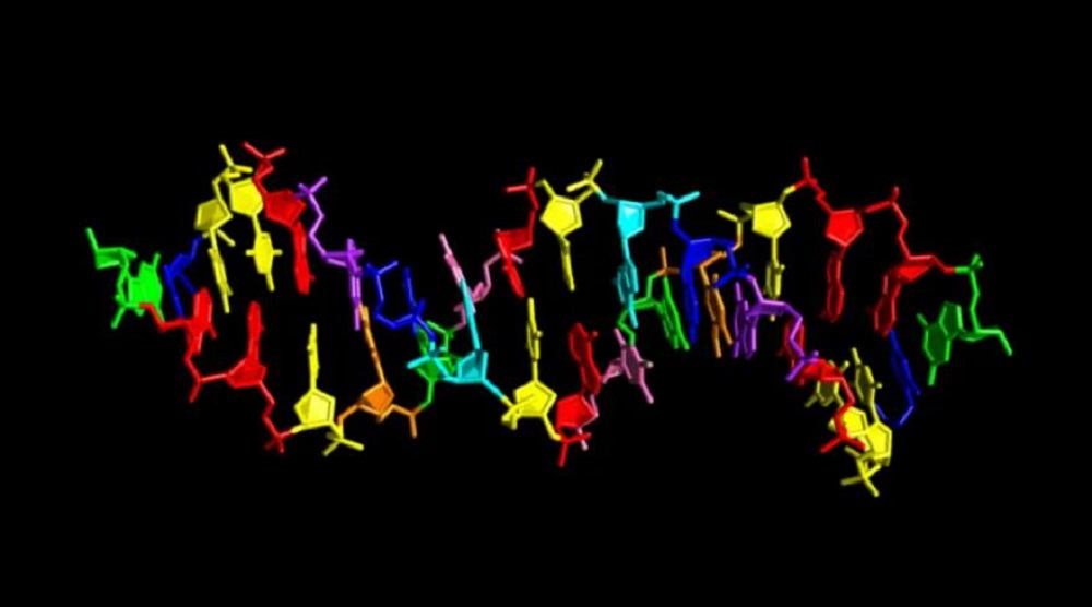 Freaky DNA from the eight letters could belong to aliens