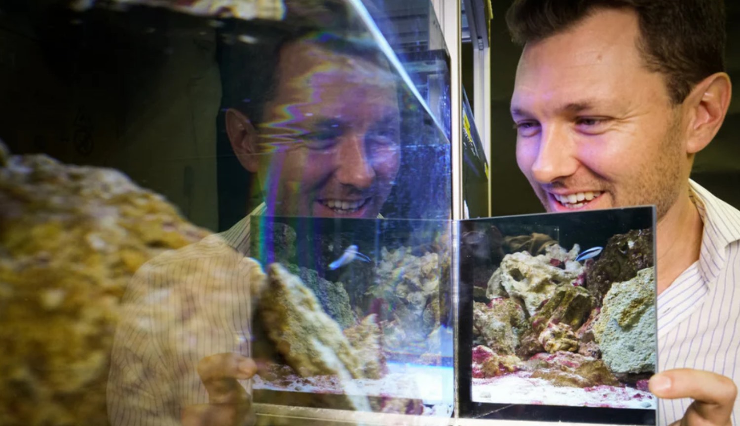 Eksperiment: at finde ud af, om fisken selv i spejlet?