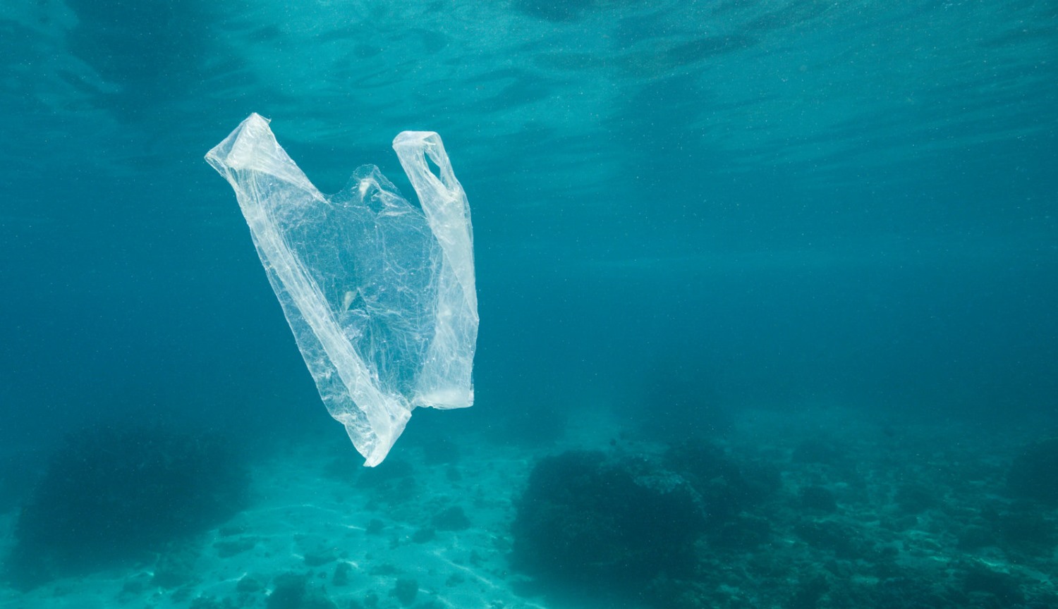Le profondità dell'oceano si sono trasformate in «urne» per i rifiuti di plastica