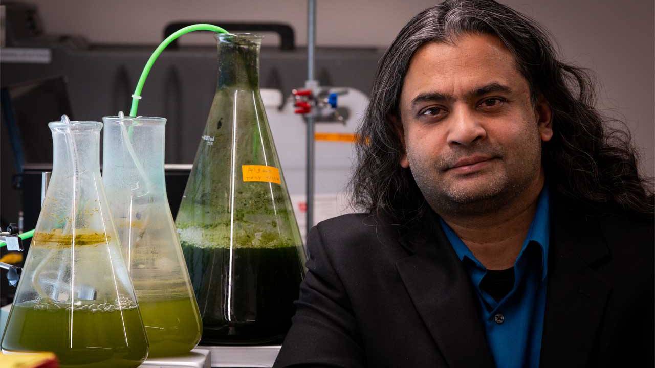 Wissenschaftler haben eine billige Verfahren zur Herstellung von Biokraftstoffen aus Algen