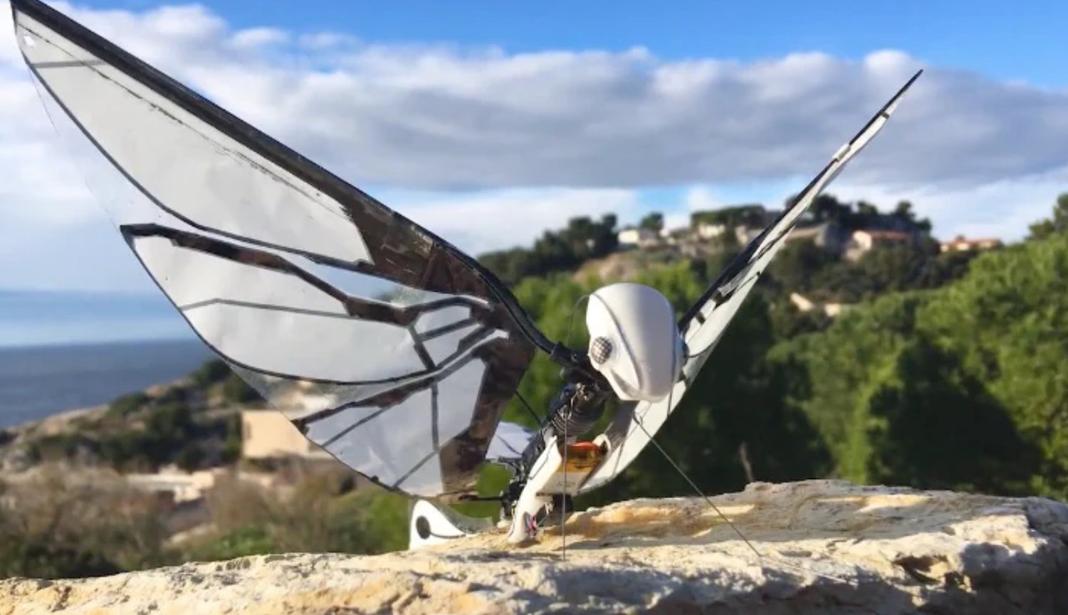 Ce robot est presque indiscernable d'insectes vivants: jetez un oeil