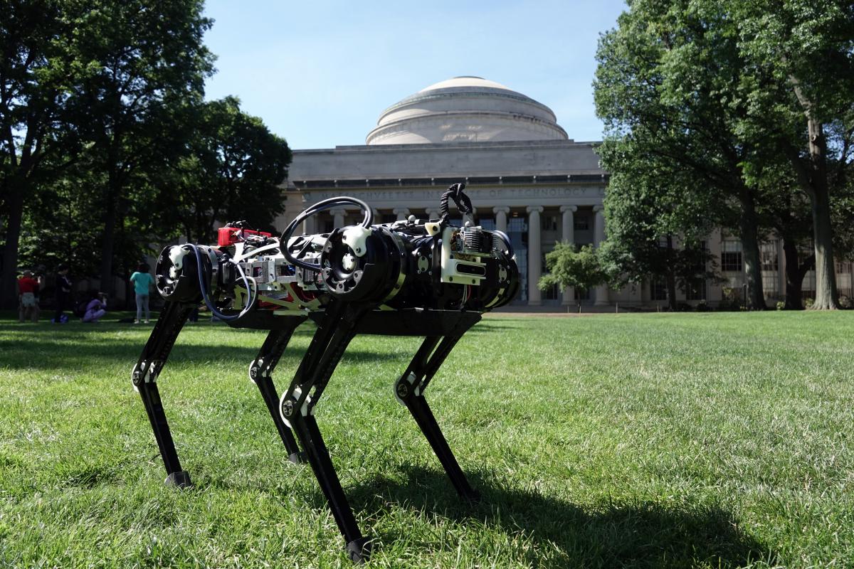 #video | the Robot Cheetah has learned to stand up and do a back flip