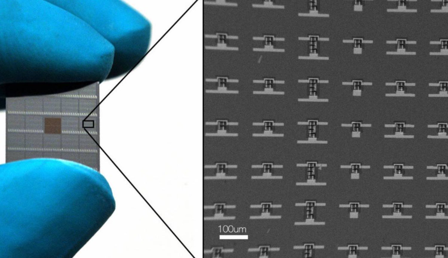 #video | These robots can be entered in any organism using a syringe