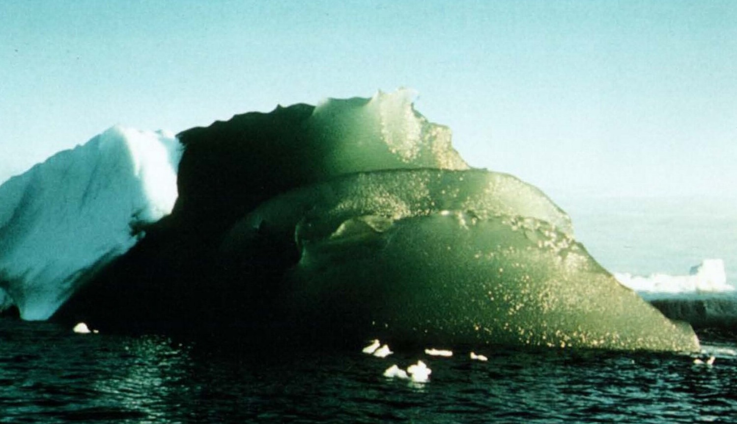 Forskere har funnet ut, hva den består av og hvorfor de trenger for grønn isfjell