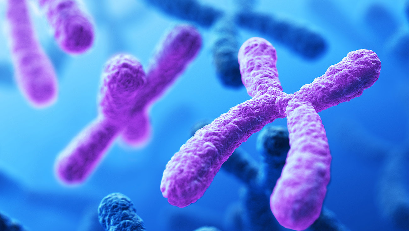 Warum gerade bei Menschen 23 Chromosomenpaare?