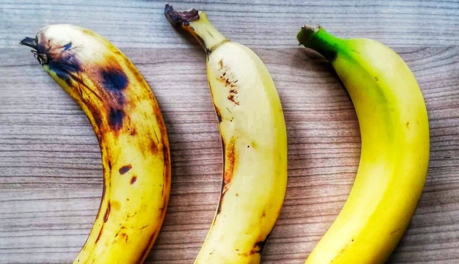 Perché le banane possono scomparire dalla faccia della Terra?