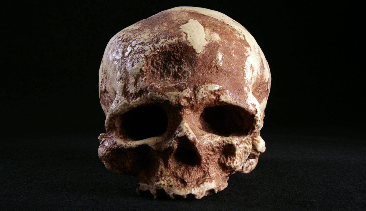 Os cientistas descobriram que o crime cometido 33 mil anos atrás