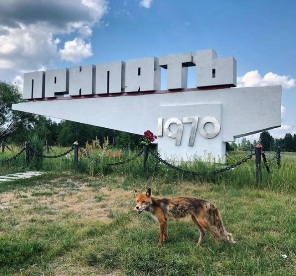 Wie sieht Tschernobyl heute?