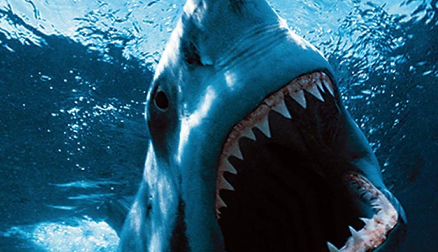 10 найнебезпечніших акул, вбивають людей
