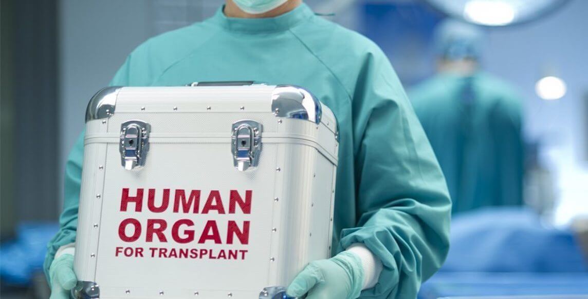 The transplantation of organs from animals to humans will happen this year