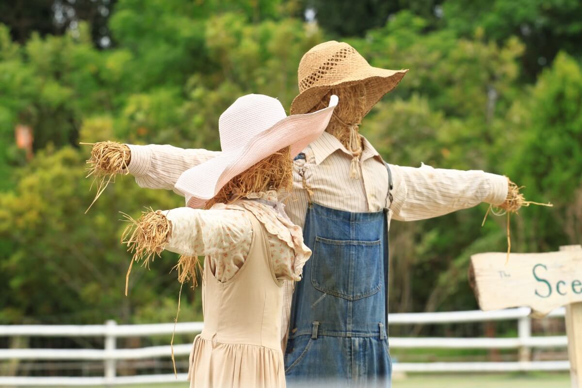 Scarecrow ikke lenger trenger bønder til å skremme fuglene med lasere