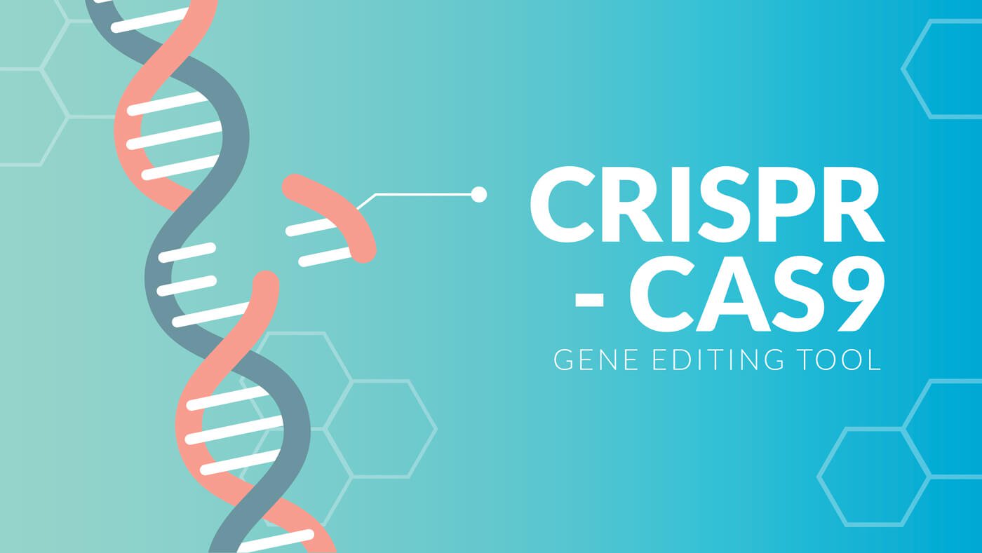 Edytor genomu CRISPR po raz pierwszy używali do leczenia HIV