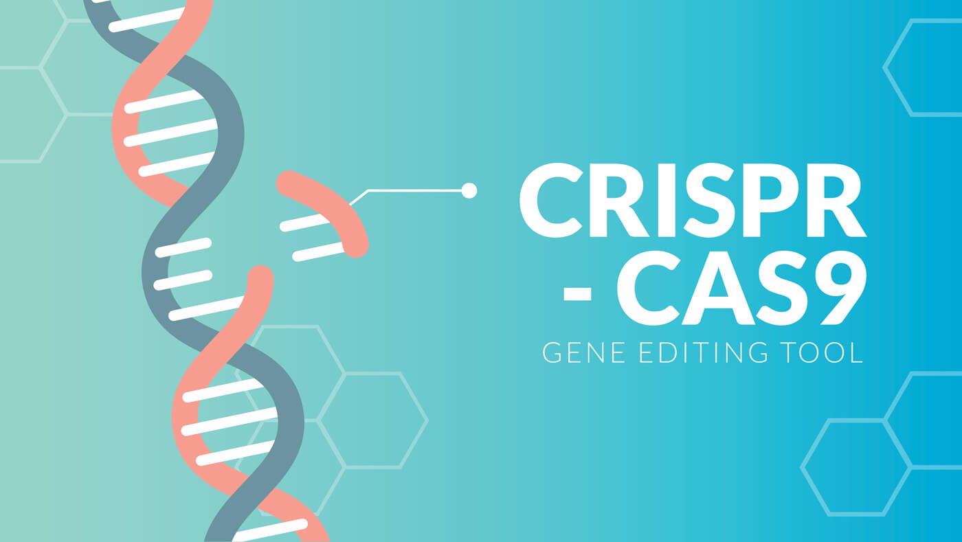 Редактор геному CRISPR вперше використовували для терапії ВІЛ