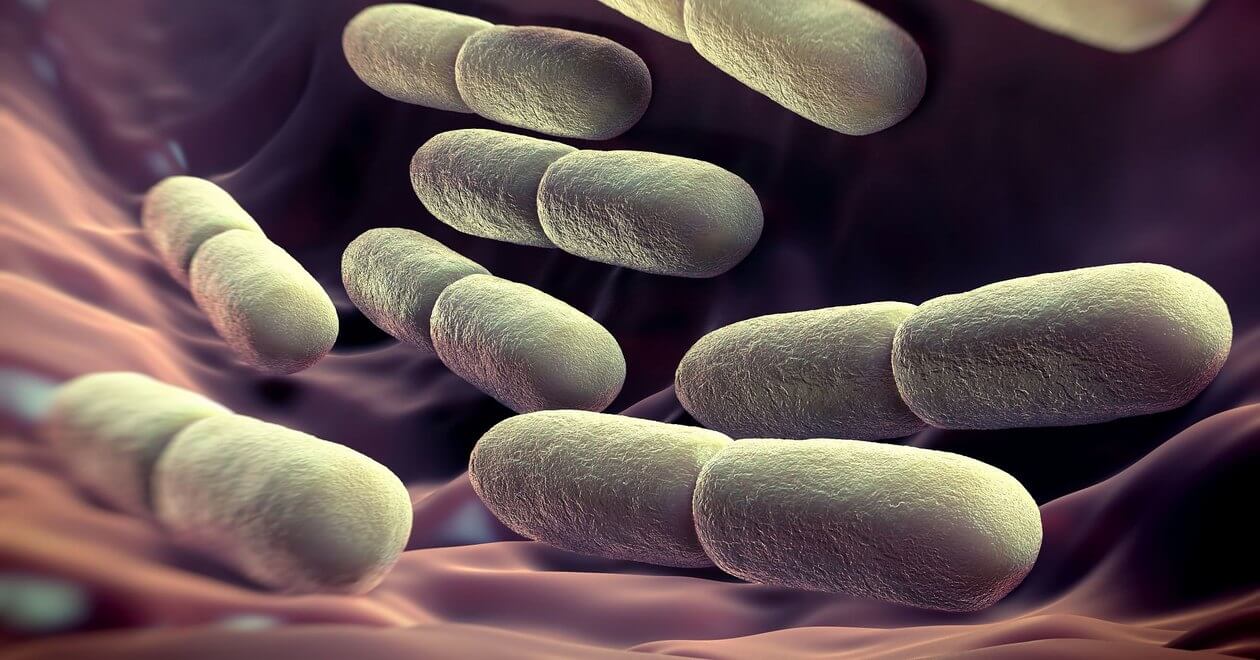 Ішек бактерия көрсете алады сіздің шынайы жасы