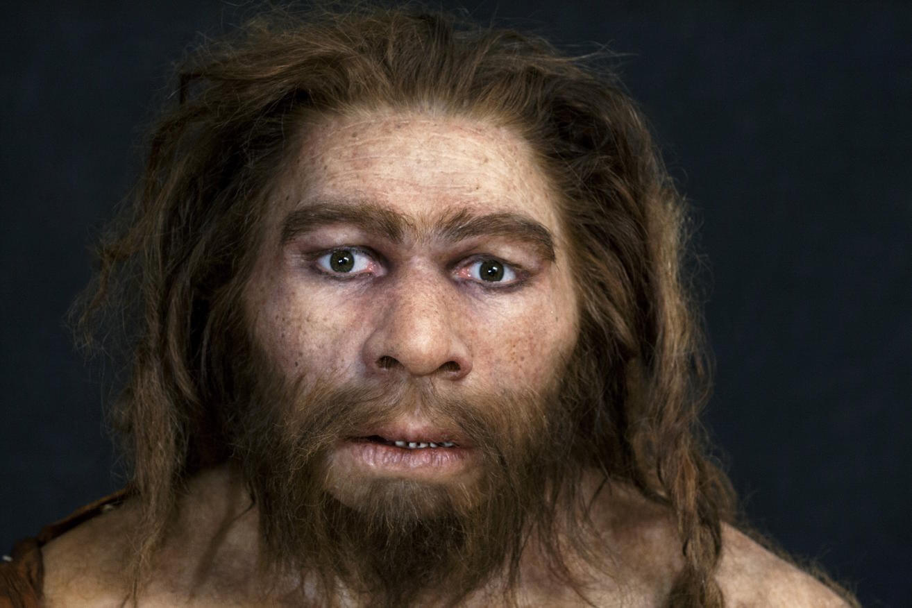 L'homme de néandertal pourraient disparaître de rhumes