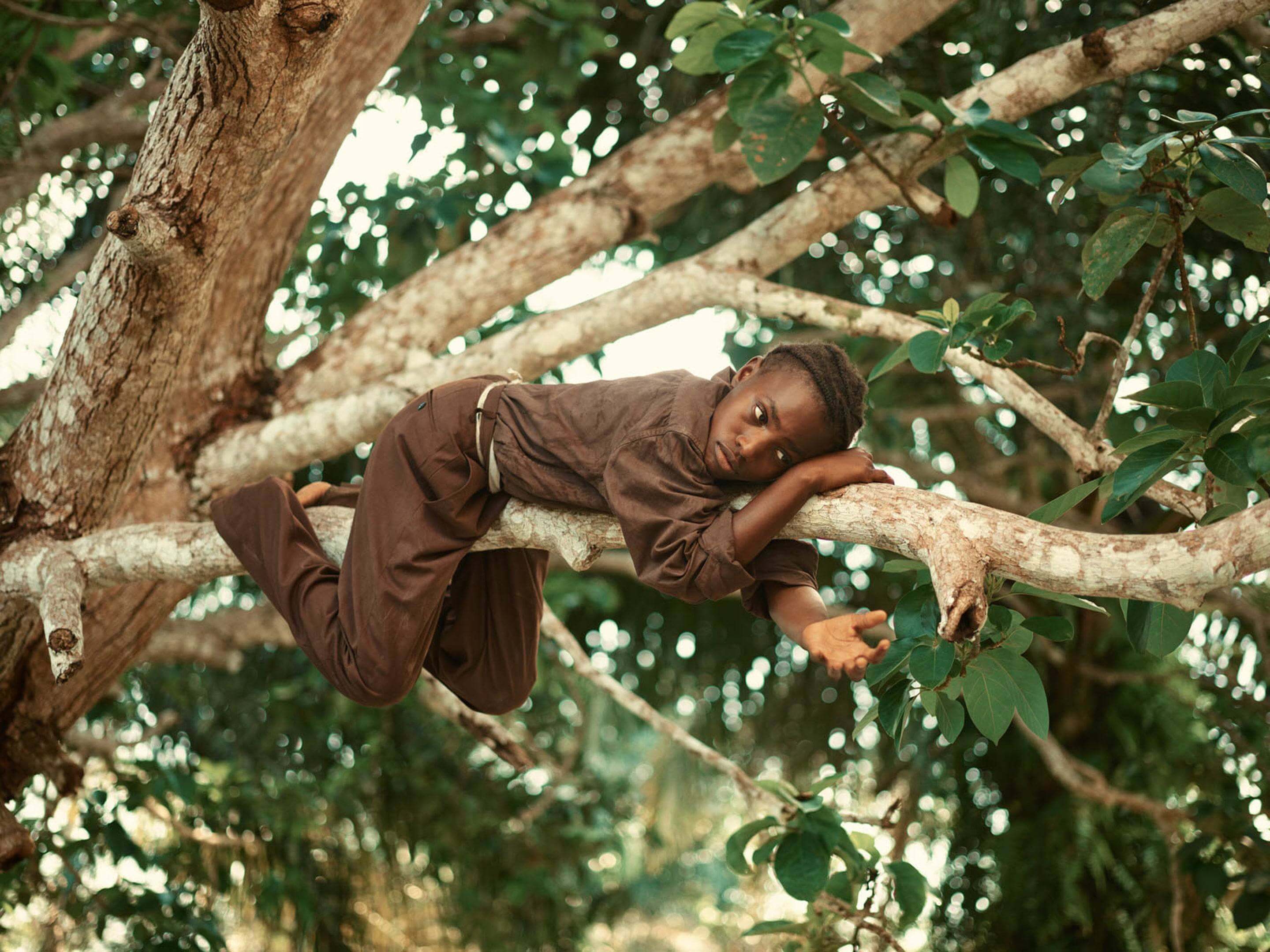 I Afrika, fant vi en ny bakterier i slekten Salmonella. De er ikke redd for antibiotika