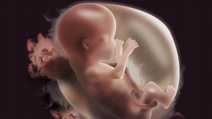 التوتر أثناء الحمل يمكن أن تؤثر على جنس الجنين