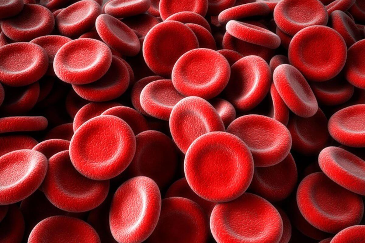 Erstellt künstliches Blut die Transfusion aller Patienten